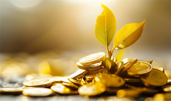 临沂贷款哪家靠谱？本地人都在问这几家！