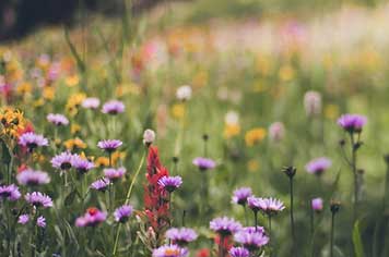 2026年临沂银行贷款攻略:这5个隐藏服务让你轻松借到钱