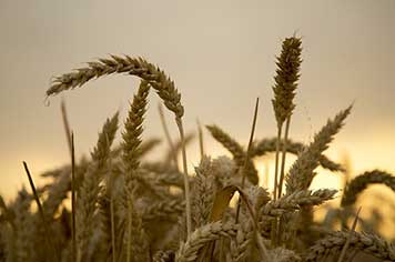 2026年美国意外摔伤索赔指南：5步操作让你轻松获得应得赔偿