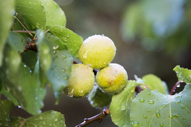 美国人身伤害赔偿计算方式